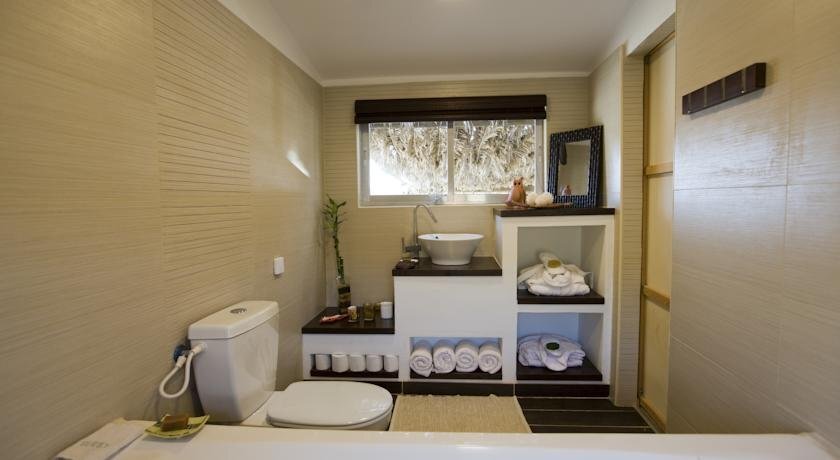 Desert Olive Farm in Unknown City, Israel