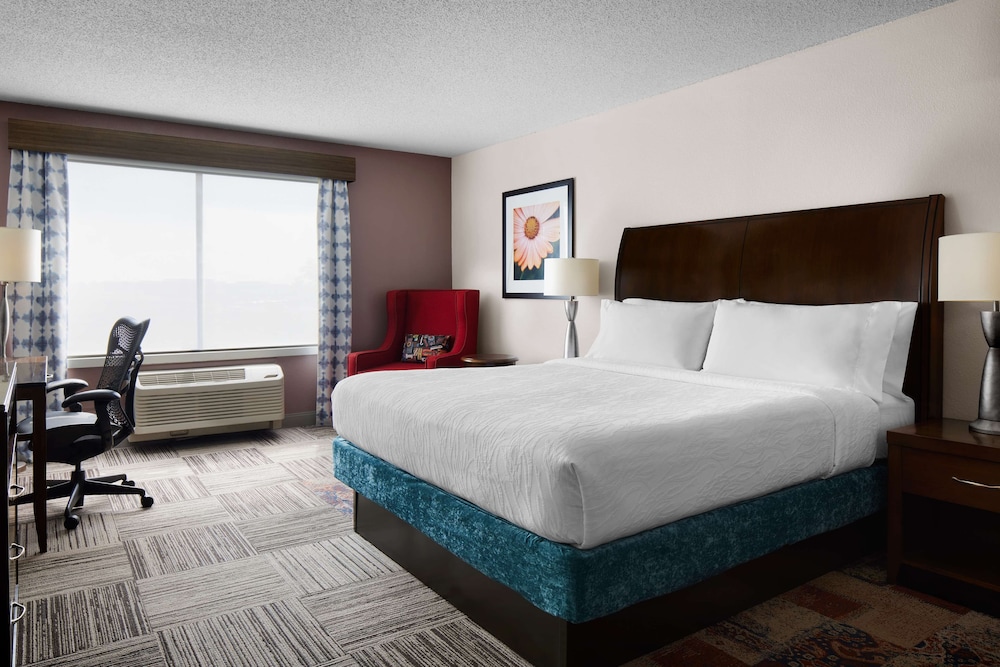 Hilton Garden Inn Denver South Park Meadows Area - photo 6
