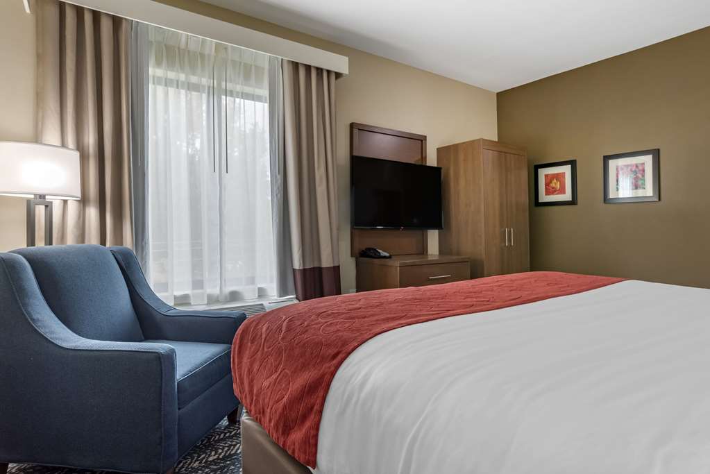 Comfort Inn & Suites Downtown near University - photo 12