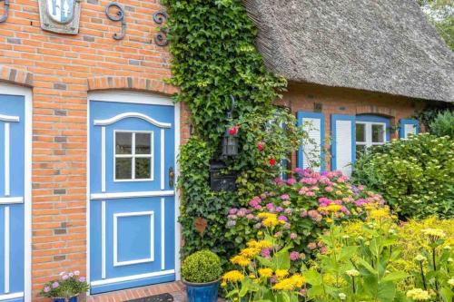 Haushaelfte 41 Gegen Den Wind Id 162 — Sankt Peter Ording