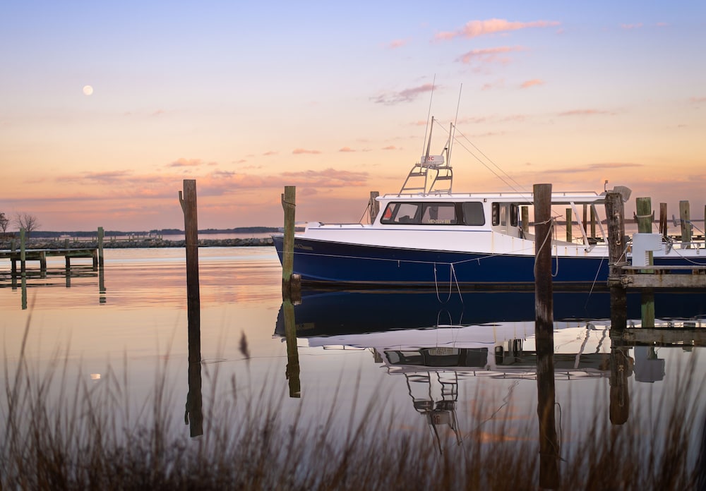 Wylder Tilghman Island - photo 102
