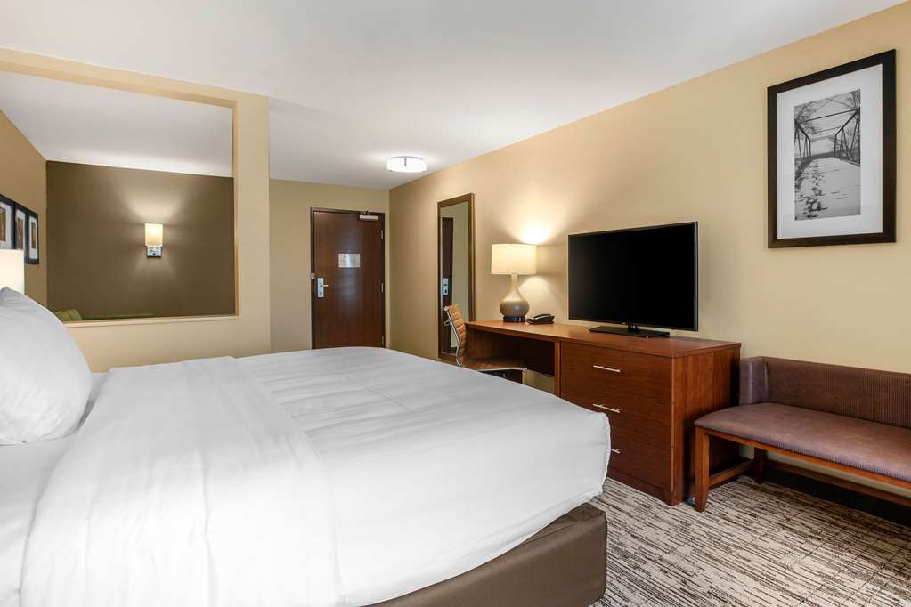 Comfort Inn and Suites Ames near ISU Campus - photo 21