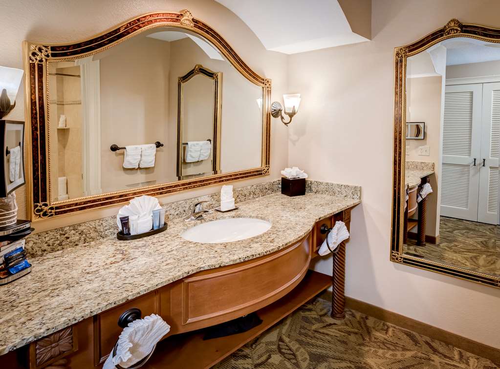 Rosen Shingle Creek - photo 16