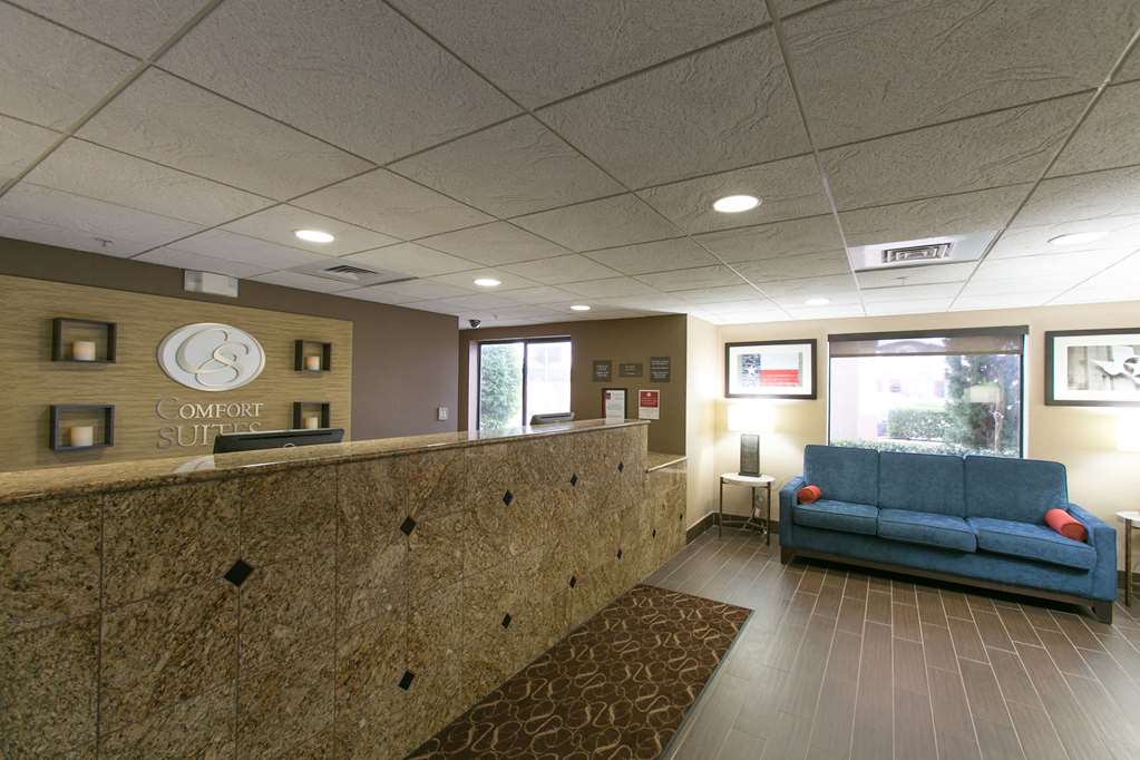 Comfort Suites Austin NW Lakeline - photo 5