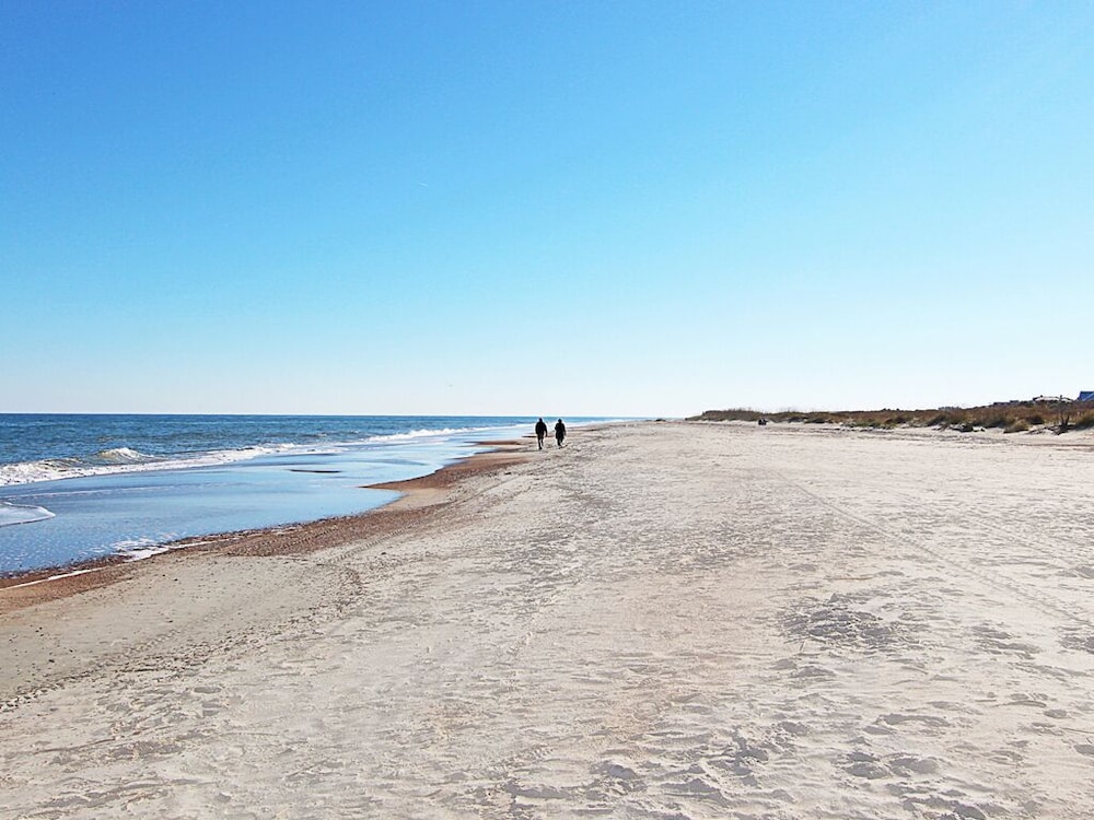 Gull Reef - photo 105