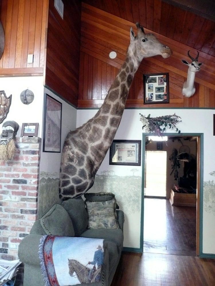 Whitebird Summit Lodge - photo 31