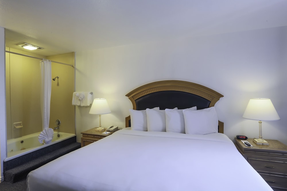 Airport Inn Hotel - photo 16
