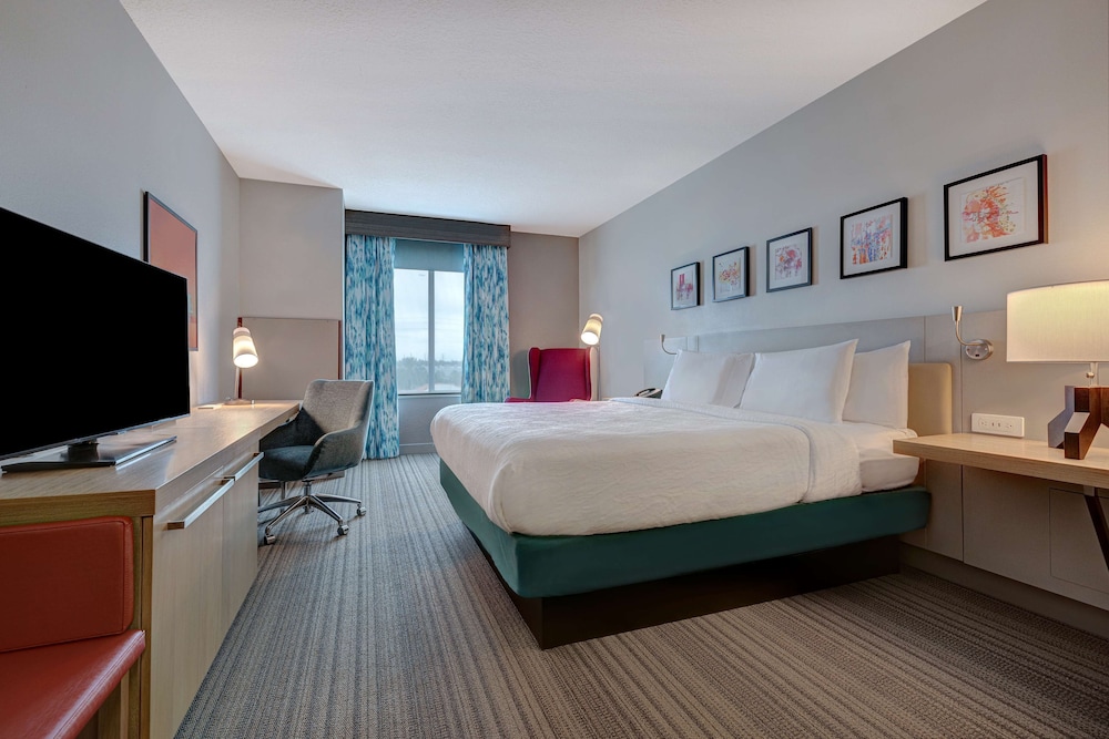 Hilton Garden Inn Tampa Northwest Oldsmar - photo 6