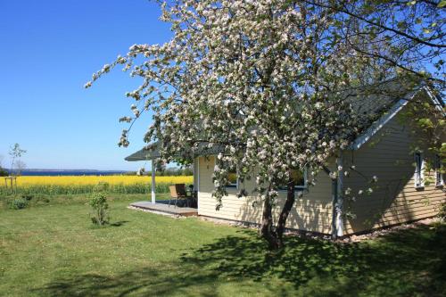Ferienhaus Miramar — hotel in Gelting