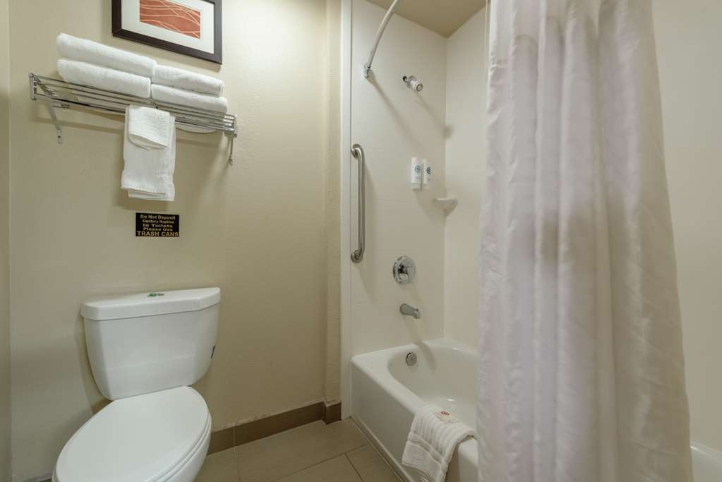 Comfort Inn & Suites Alamosa - photo 38