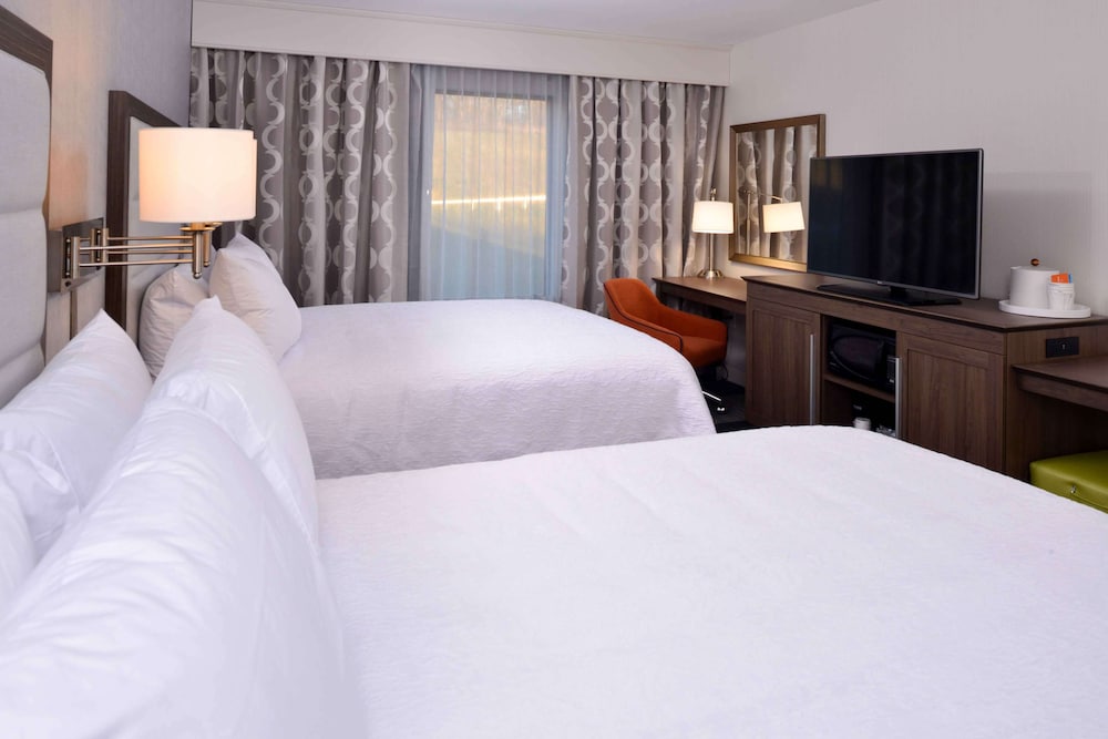 Hampton Inn & Suites Albany East Greenbush - photo 8