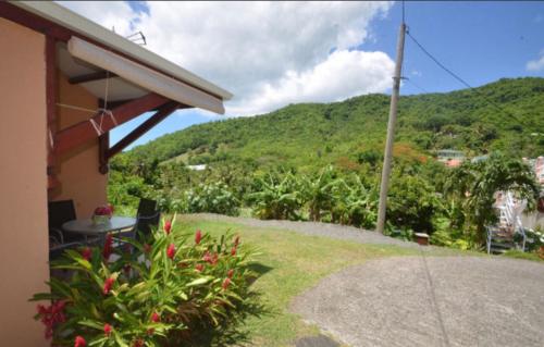 Bougain Fleuri in Unknown City, Guadeloupe