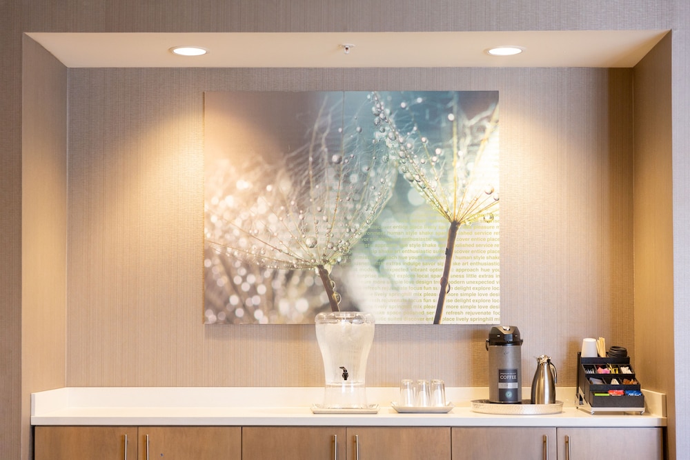 SpringHill Suites by Marriott Austin Cedar Park - photo 54