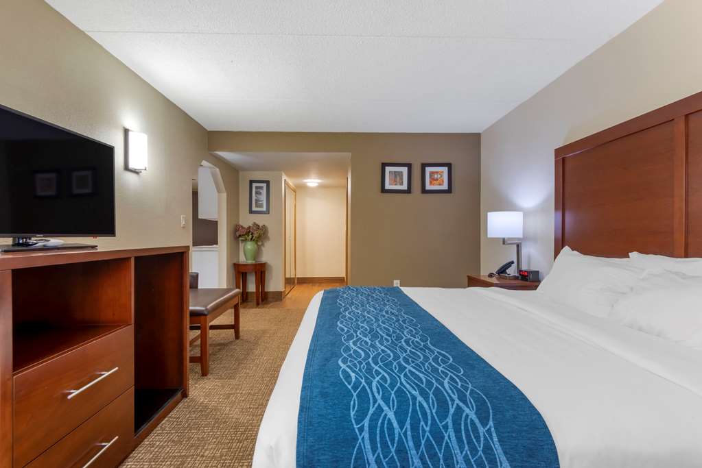 Comfort Inn Binghamton I 81 - photo 24