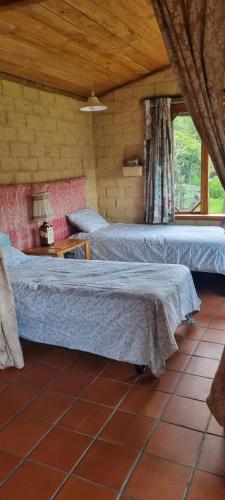 Kotuku Studio in Takaka, New Zealand