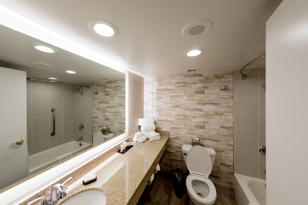 Embassy Suites by Hilton Lexington Green - photo 17