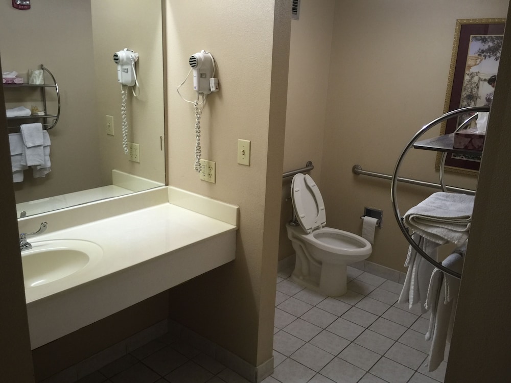 Mayfair Inn - photo 27