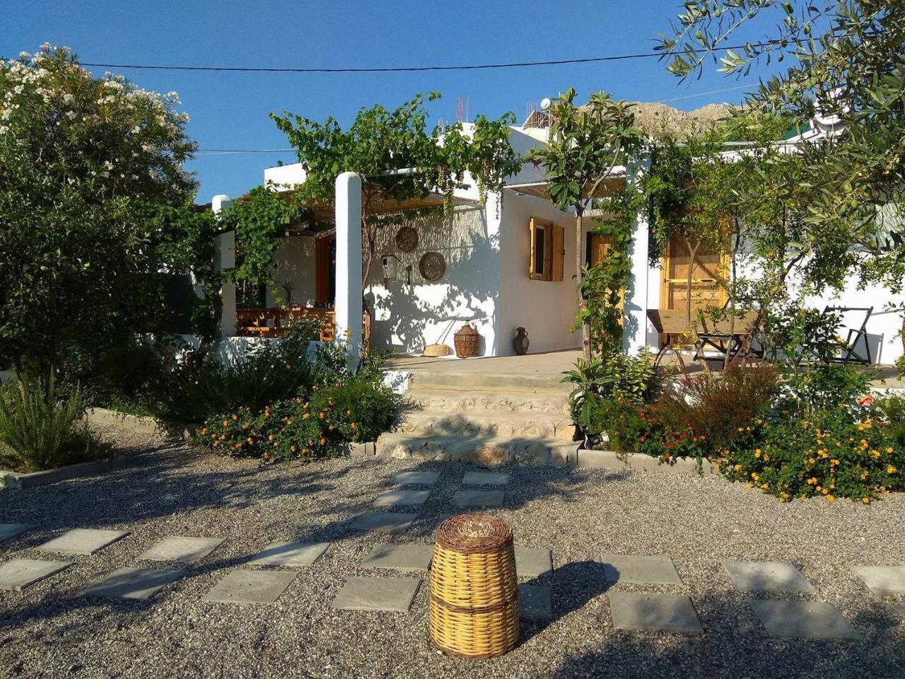 Ktima Natura — Archangelos — photo 5