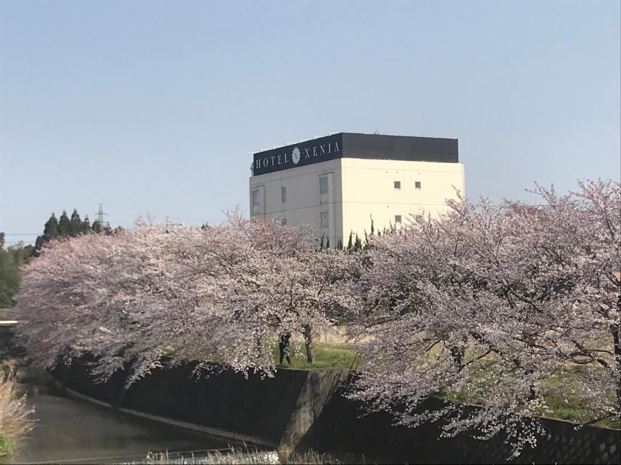 Hotel Xenia Mikumo — hotel in Konan