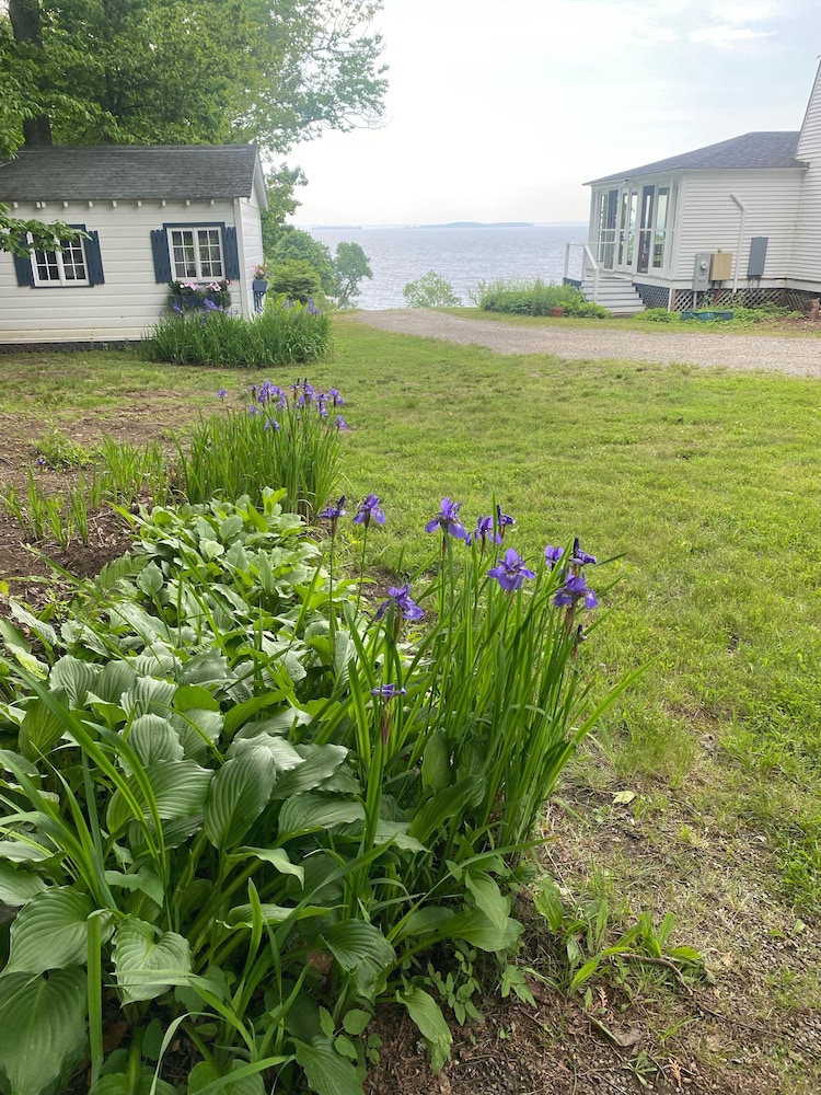 The High Tide Inn - photo 163