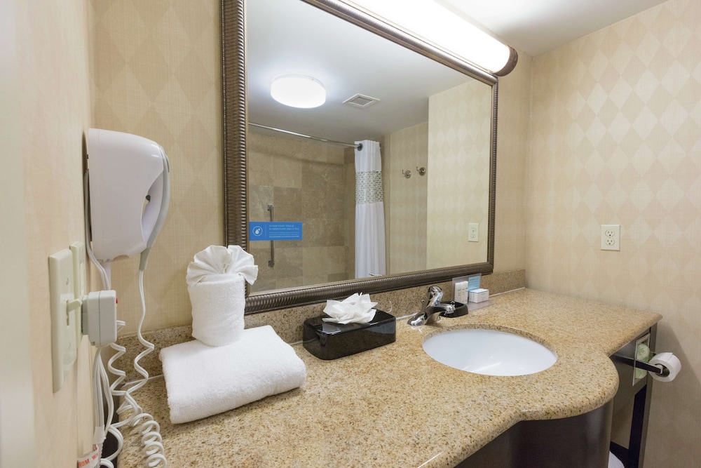 Hampton Inn Suites Jacksonville Airport - photo 35