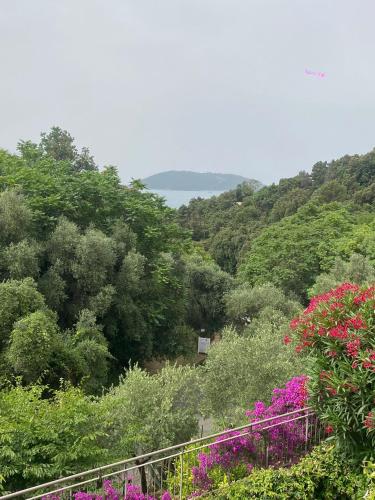 Oasi Verde 1 — 4-Star Luxury Hotel in San Terenzo, Italy