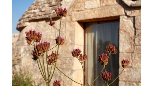 Trullo di Luna - last minute hotel in Ostuni