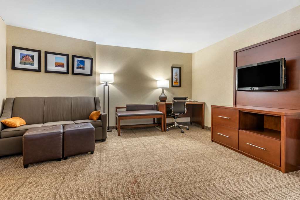 Comfort Suites Elkhart South - photo 11