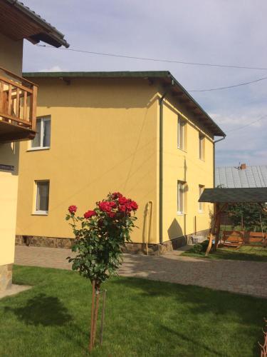 Zelena Hata - carbon neutral hotel in Skole