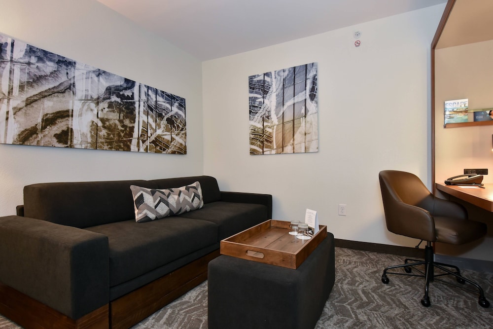 SpringHill Suites by Marriott Columbia Downtown The Vista - photo 10