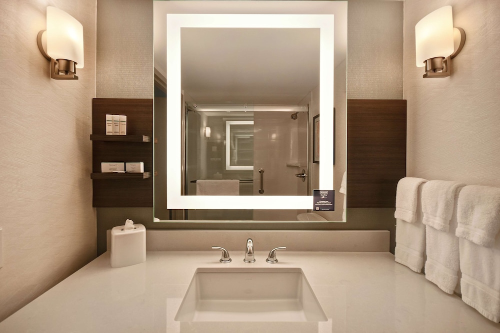 Hilton Garden Inn Detroit Metro Airport - photo 30