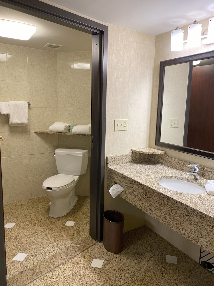 Hotel Indigo Detroit North Troy by IHG - photo 18