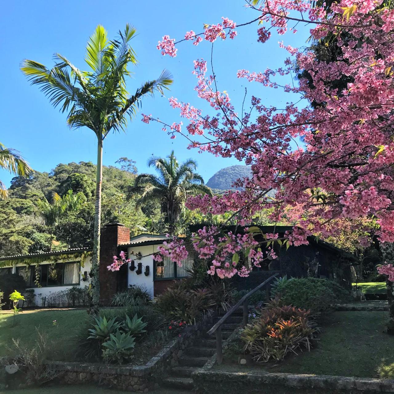 Pinheiros Do Rocio — Petropolis — photo 3