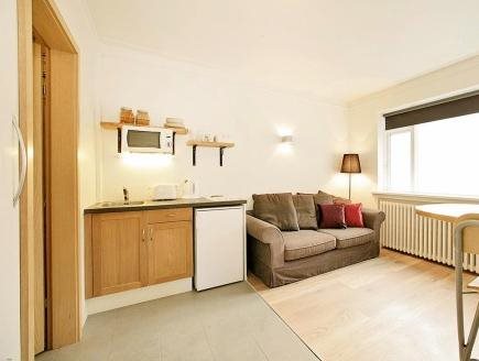 Grettisgata Apartments