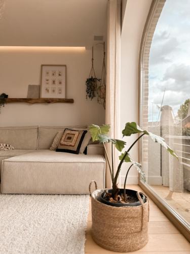 Ibiza Loft Moln - carbon neutral hotel in Kinrooi