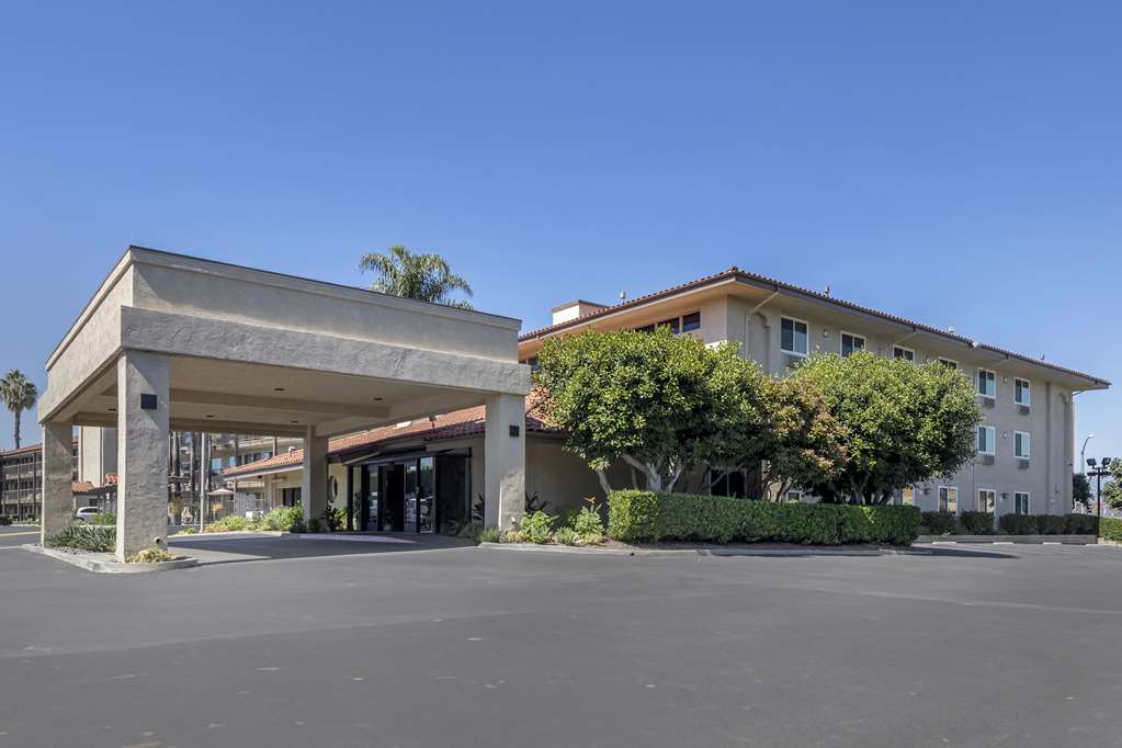 Best Western Plus Executive Inn - photo 17