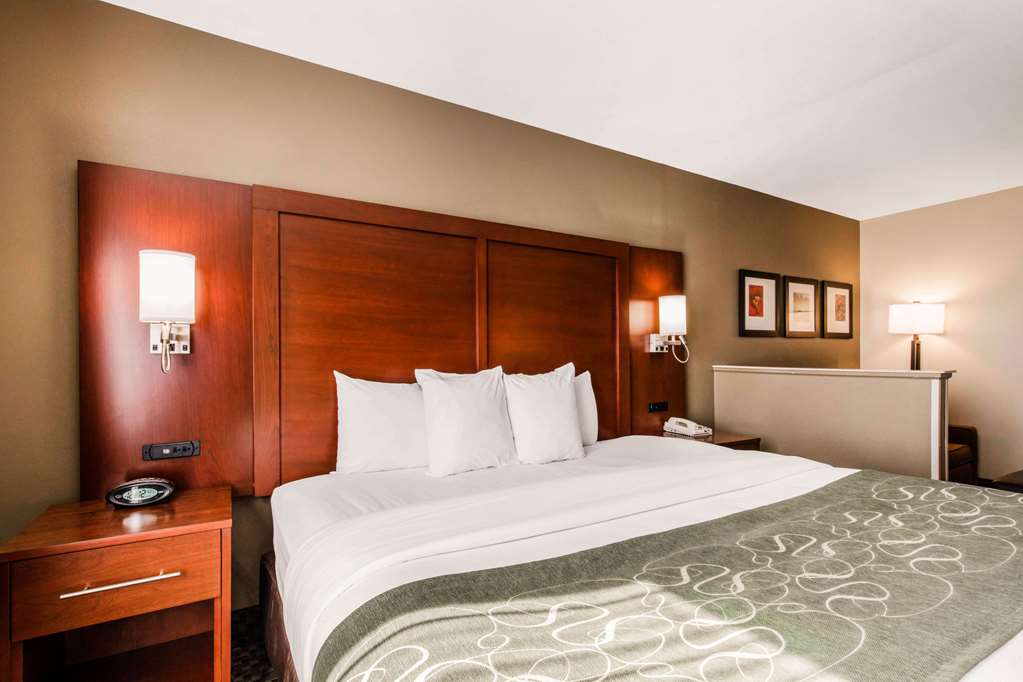 Comfort Suites Tuscaloosa near University - photo 8