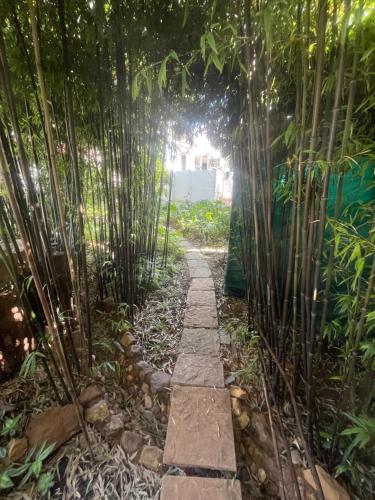 LightHouse Sanctuary in Johannesburg, South Africa