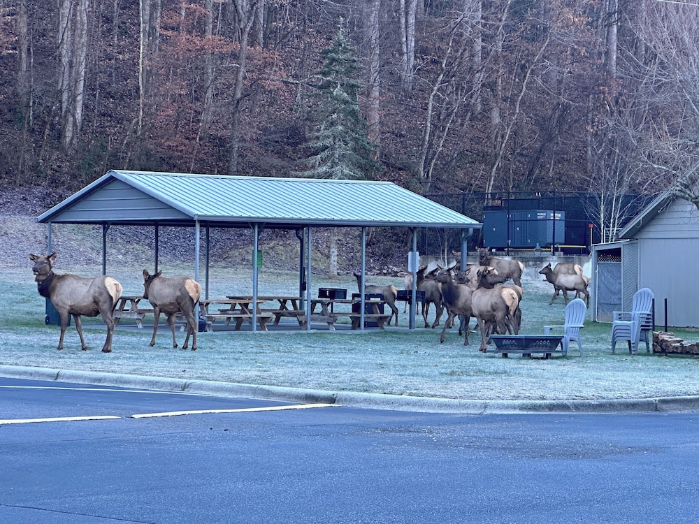 Great Smokies Inn Cherokee - photo 39