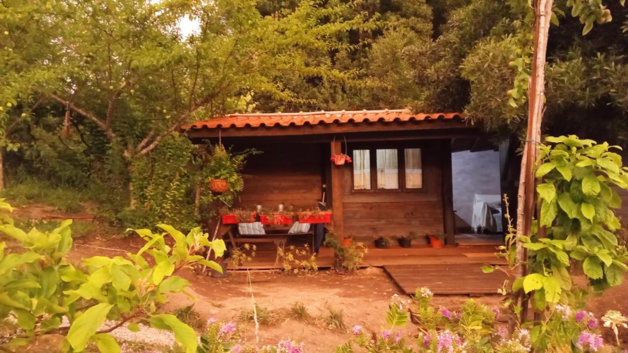 O Cantinho de Coura a Cabana - carbon neutral hotel in Paredes De Coura