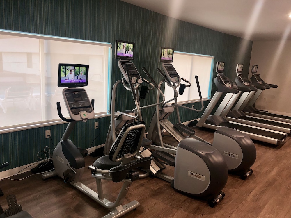 Holiday Inn Express and Suites Houston Westchase Westheimer by IHG - photo 61