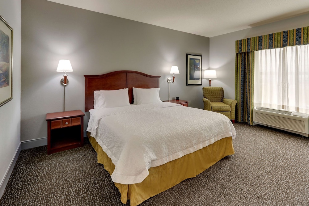 Hampton Inn & Suites Indianapolis Airport - photo 16