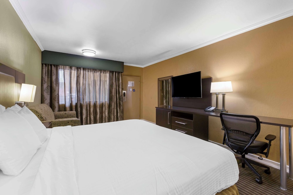 Royal Sun Hotel & Suites - photo 11