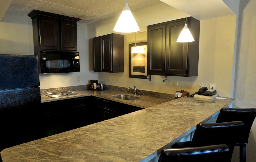 Holiday Inn Hotel & Suites Charleston West by IHG - photo 6