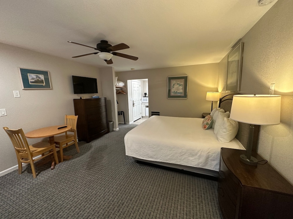 Bluebird Inn - photo 14