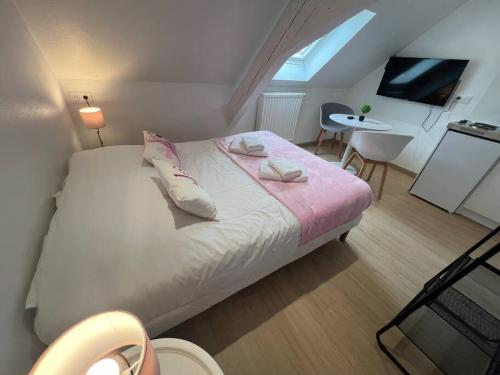 Esprit France Joli Studio Au Coeur De Mulhouse — Mulhouse