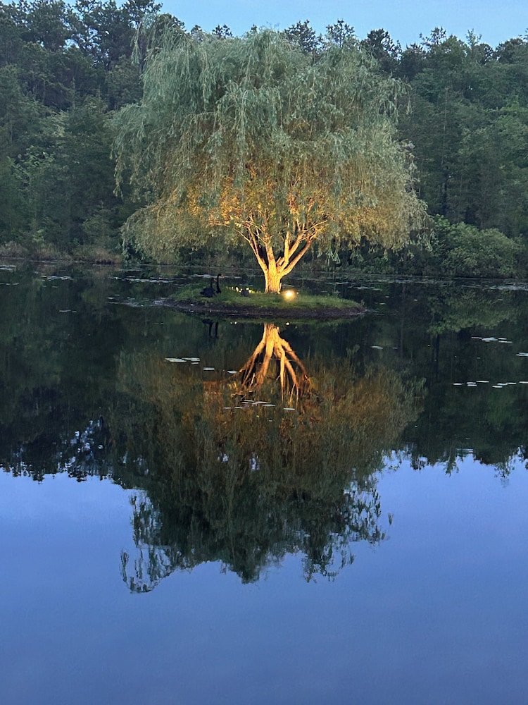 Swan Lake Resort Rentals - featured photo