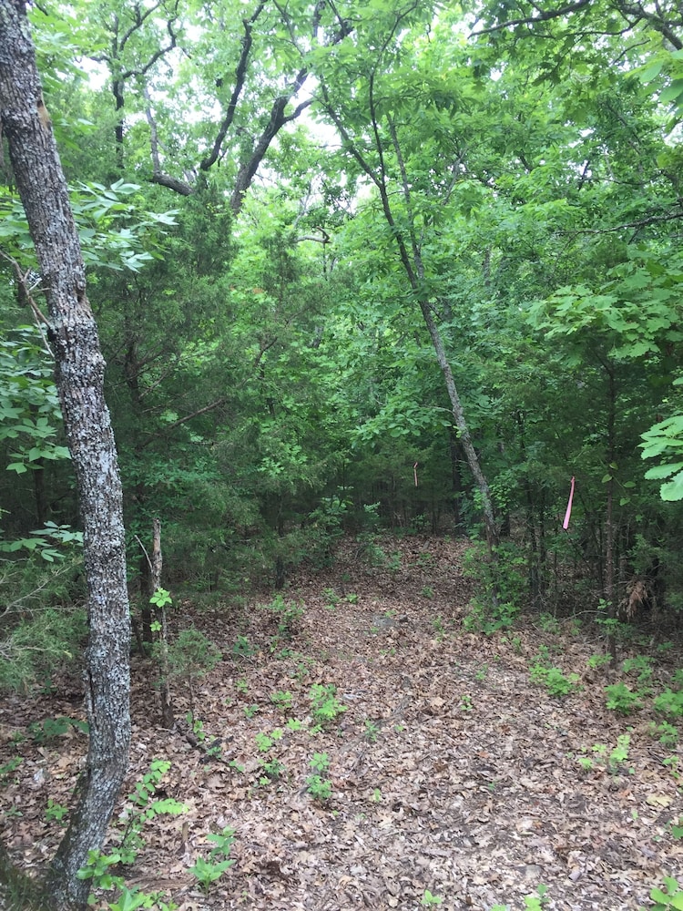 Cherokee mountain log cabin resort - photo 71