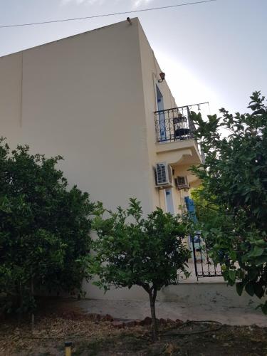 Panormos Nice studio with garden view — Kalymnos — photo 4
