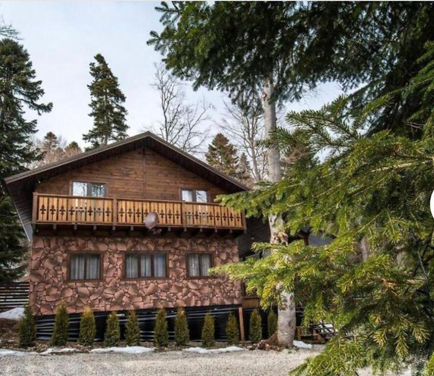 Flora Plus - carbon neutral hotel in Unknown City